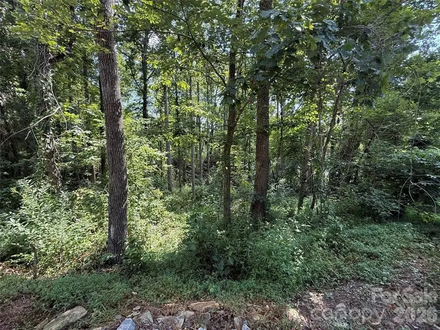 256 Burge Mountain Road, Hendersonville, NC 28792 - #2
