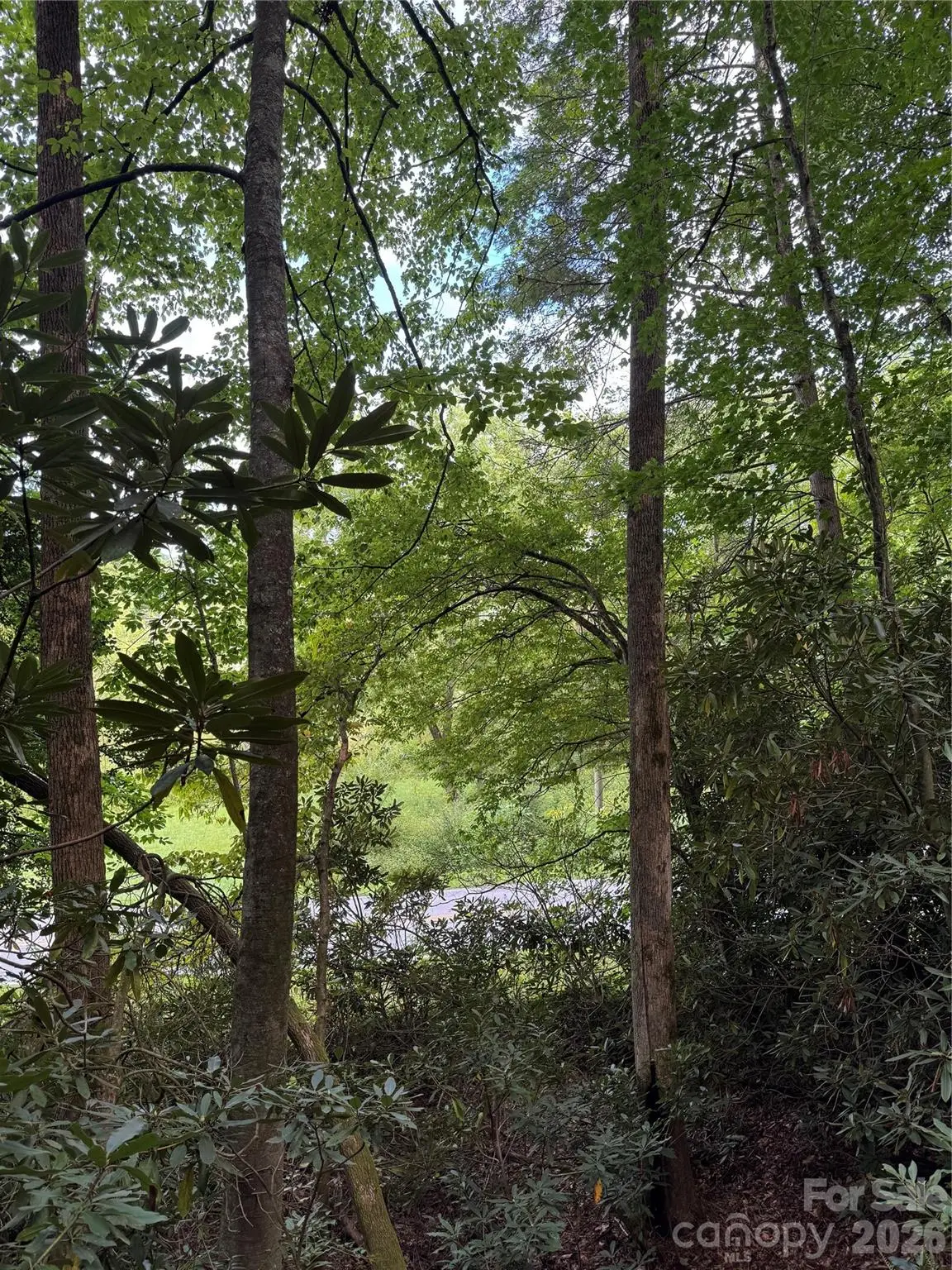 000 Wilson Road, Pisgah Forest, NC 28768 - #1