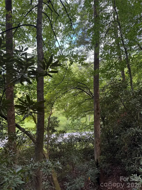 000 Wilson Road, Pisgah Forest, NC 28768