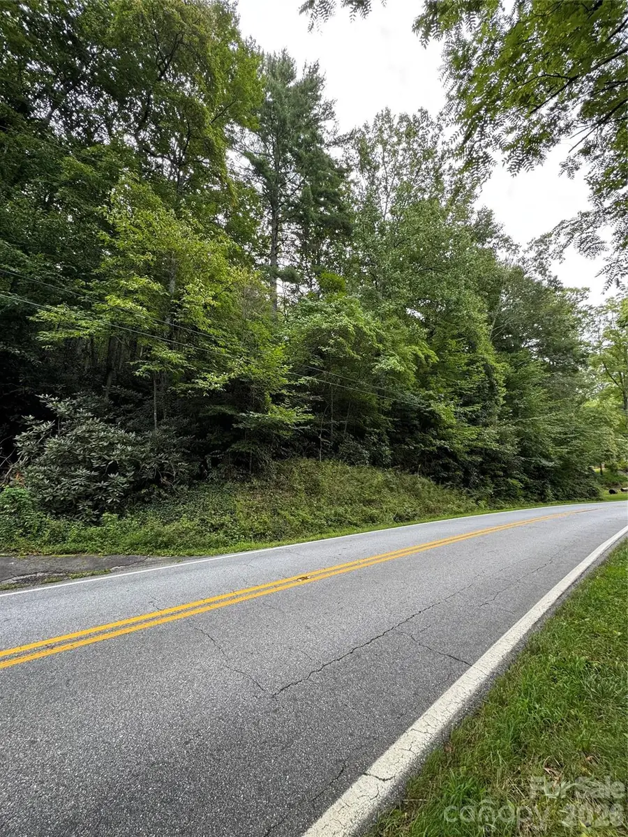 000 Wilson Road, Pisgah Forest, NC 28768 - #2