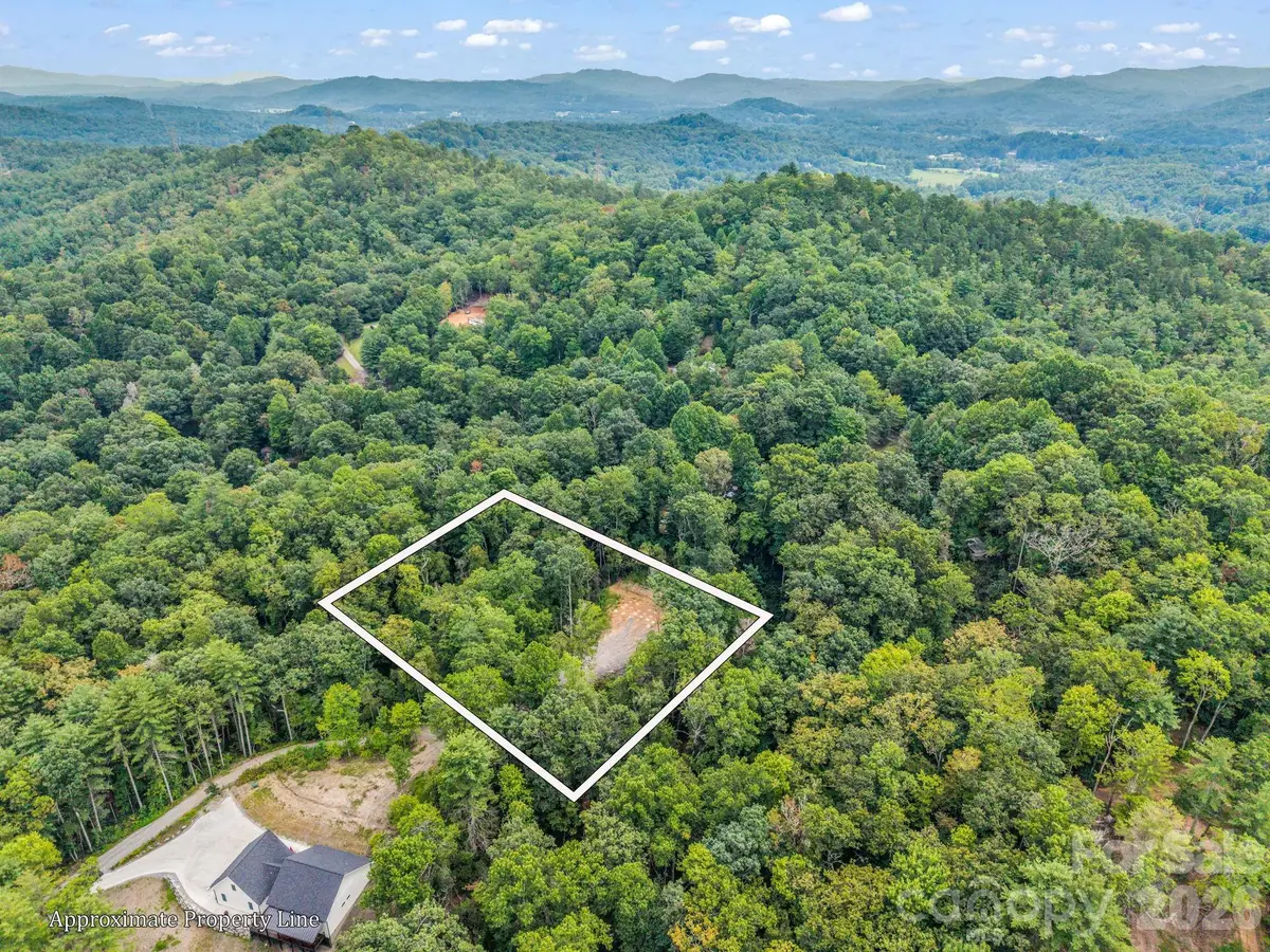 175 Silver Bullet Way, Pisgah Forest, NC 28768 - #1