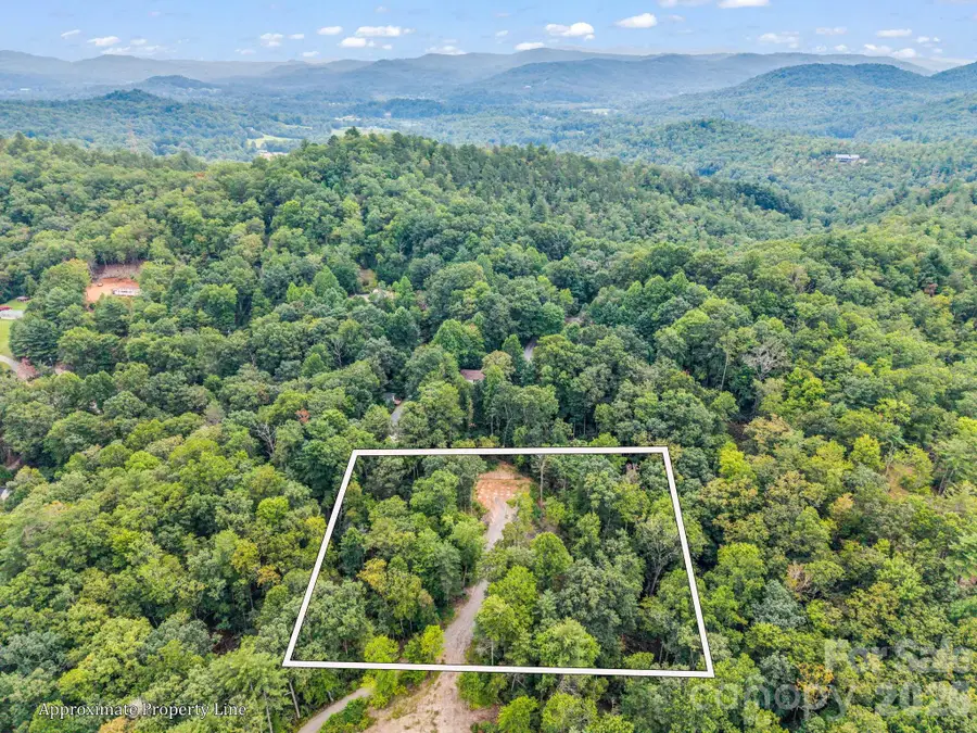 175 Silver Bullet Way, Pisgah Forest, NC 28768 - #2
