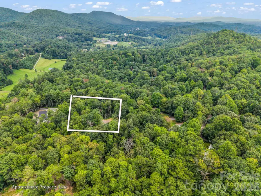 175 Silver Bullet Way, Pisgah Forest, NC 28768 - #3