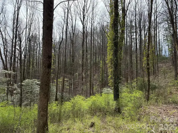 L8 Black Bear Court, Sapphire, NC 28774