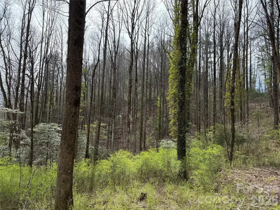L8 Black Bear Court, Sapphire, NC 28774 - #2