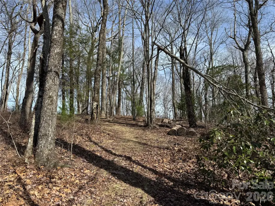 L4 Windy Gap Lane, Sapphire, NC 28774 - #2