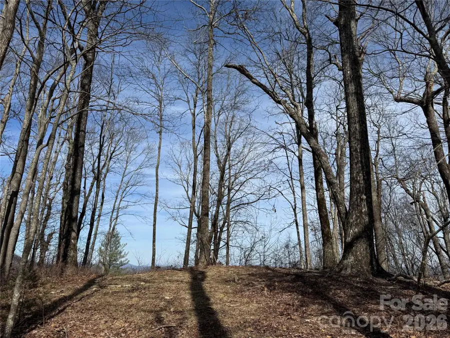 L4 Windy Gap Lane, Sapphire, NC 28774 - #3