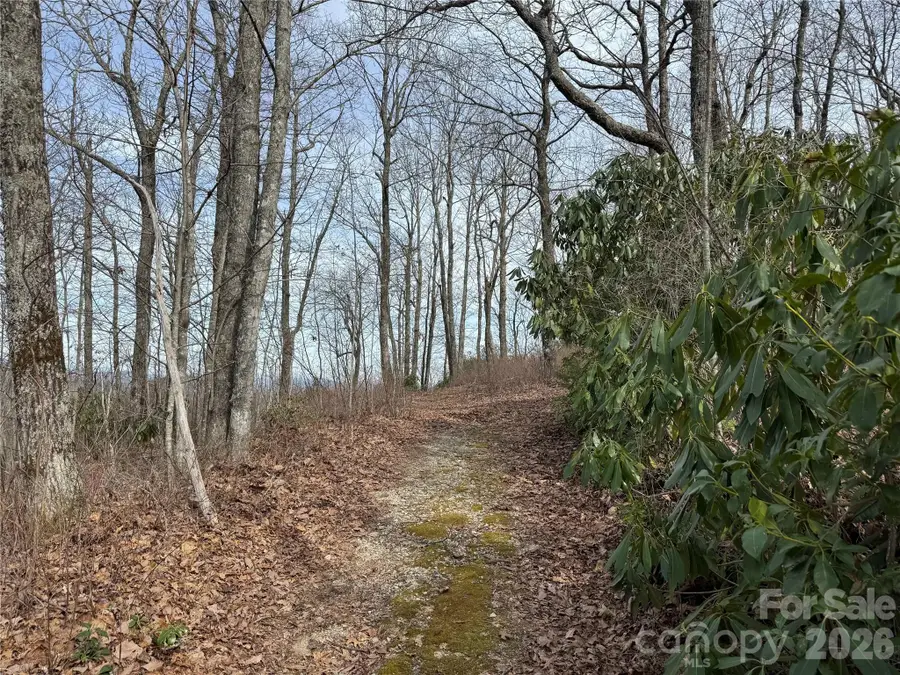 L3 Windy Gap Lane, Sapphire, NC 28774 - #2