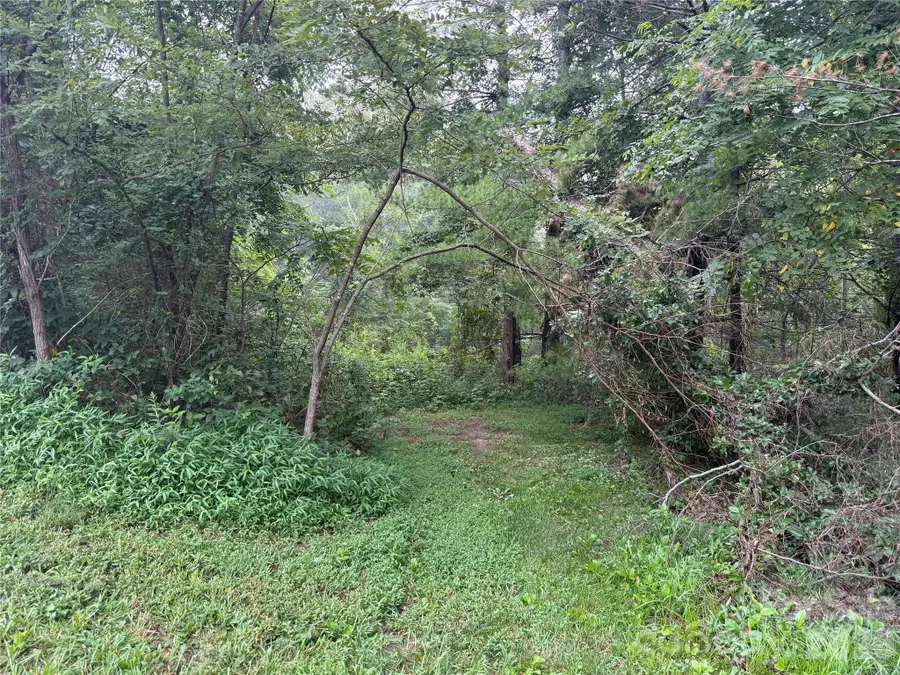 99999 Elk Mountain Ridge #13, Asheville, NC 28804 - #3