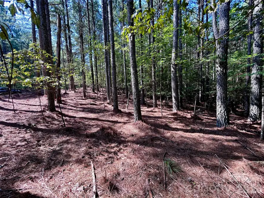 1461 Cordova Drive, Connelly Springs, NC 28612 - #2