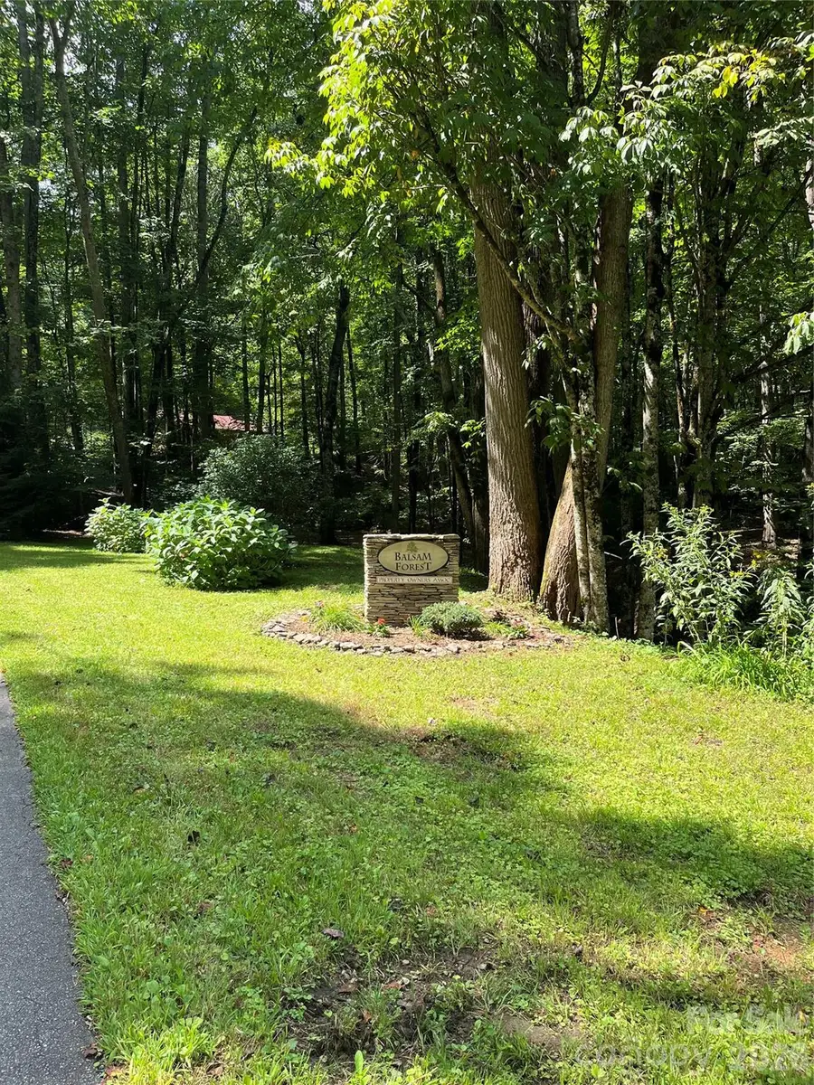 99999 Trillium End Lane #40, Waynesville, NC 28786 - #2