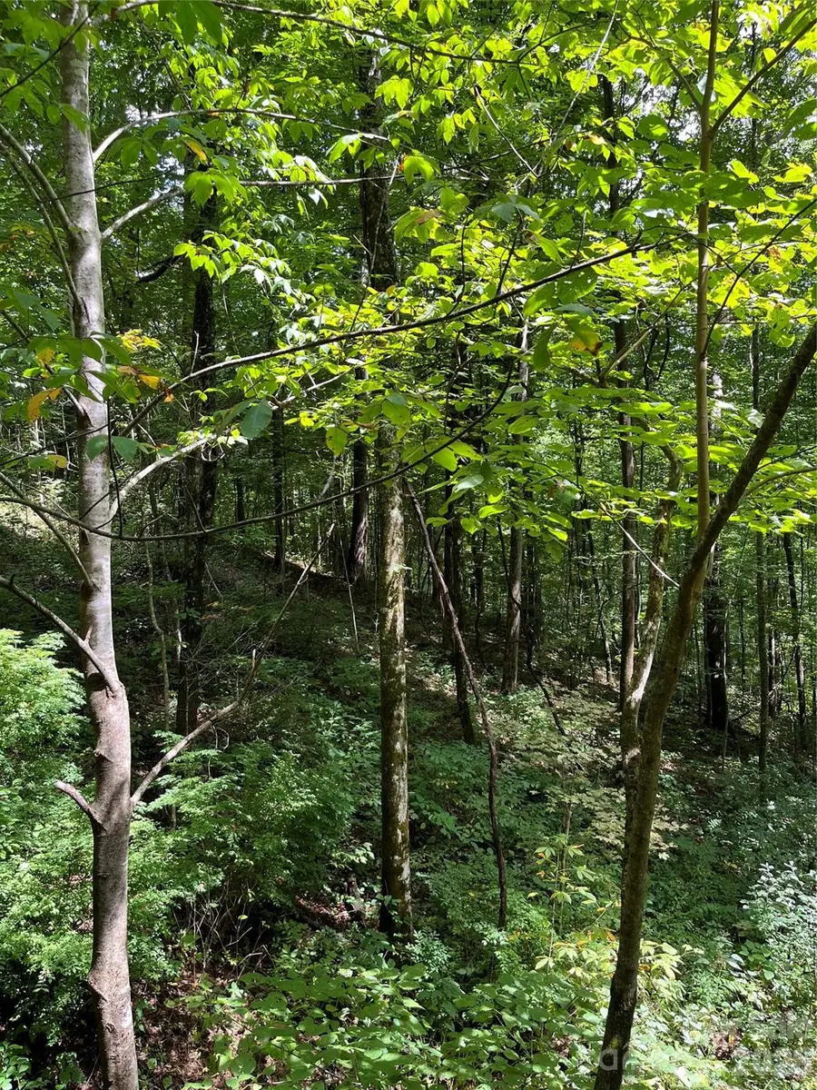 99999 Trillium End Lane #40, Waynesville, NC 28786 - #3