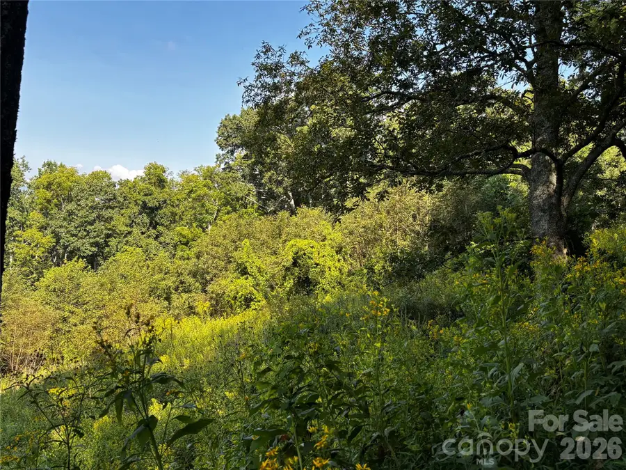 #9 Sunset Mountain Road, Bakersville, NC 28705 - #2