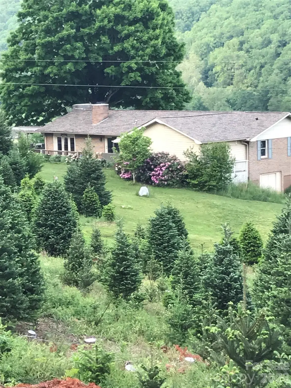 455 Avery Lane, Newland, NC 28657 - #1