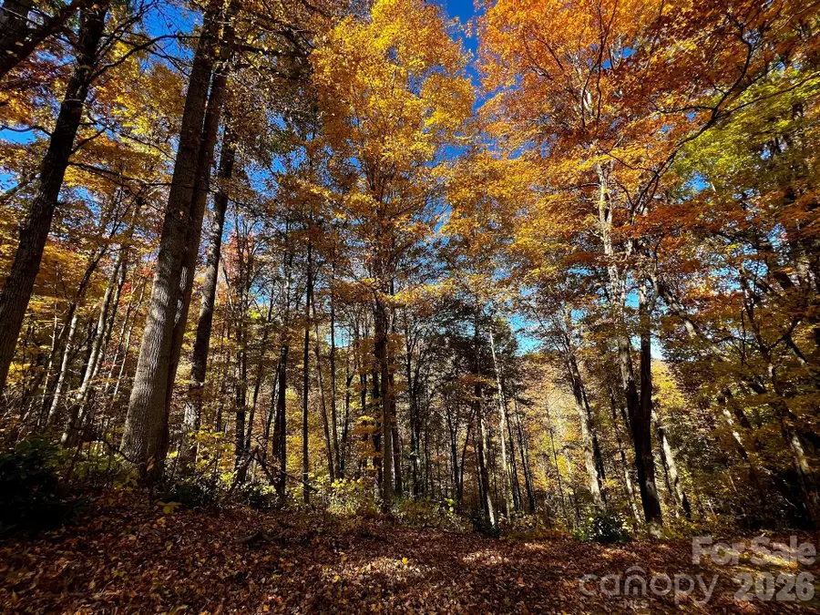 0000 Hemphill Road #3, Waynesville, NC 28785 - #2