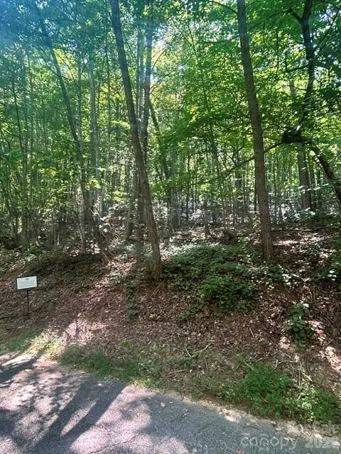 Lot 272 Hummingbird Court, Lake Lure, NC 28746 - #2