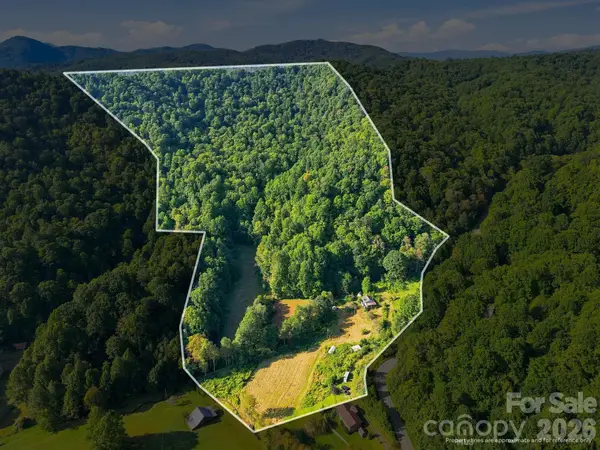 1487 Poplar Gap Road, Hot Springs, NC 28754