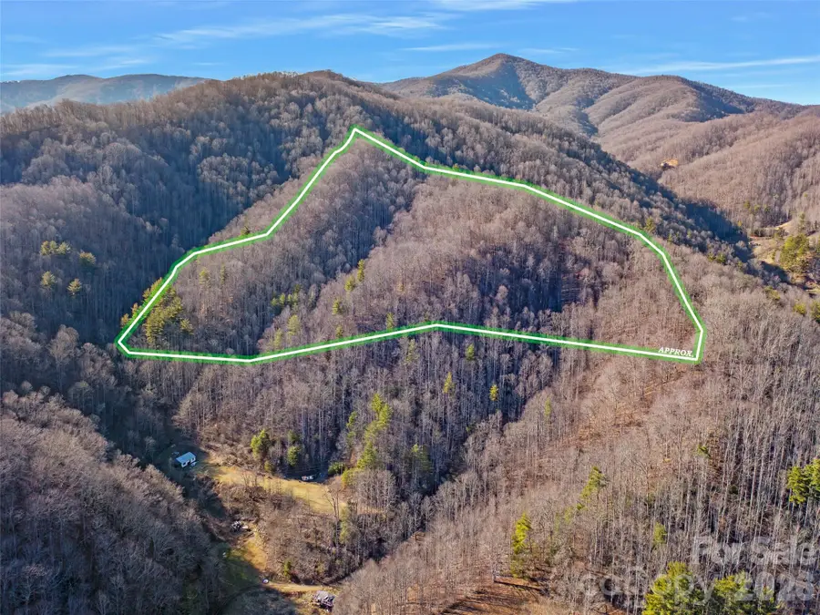 00 Lotties Creek Road, Burnsville, NC 28714 - #2