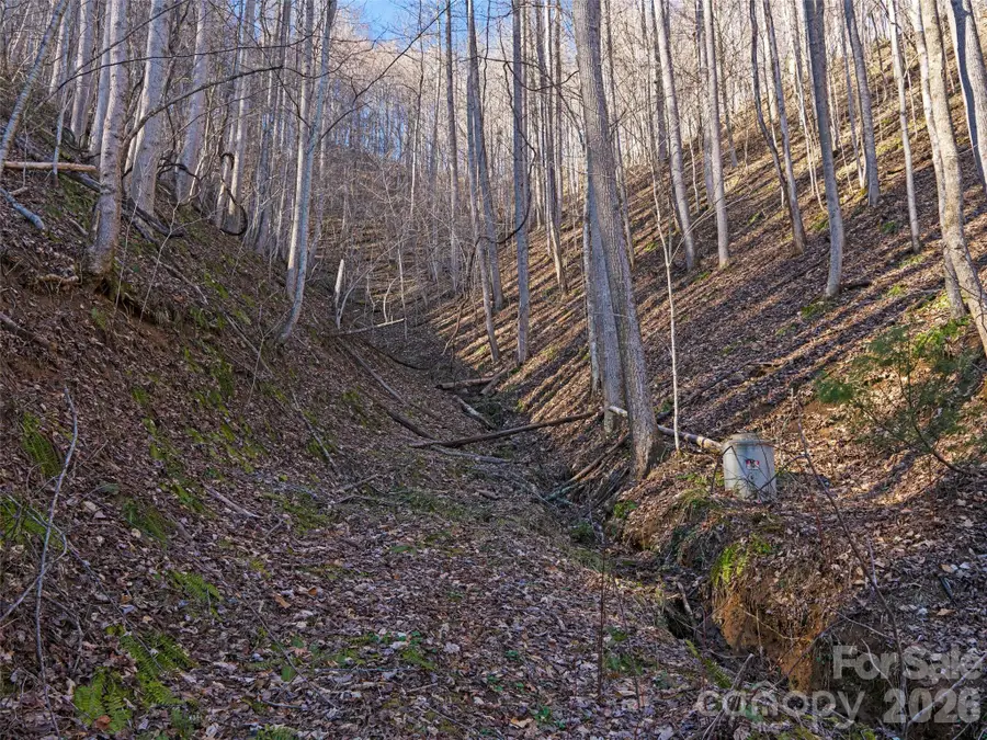 00 Lotties Creek Road, Burnsville, NC 28714 - #3