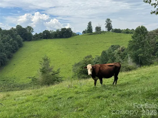 0 Union Hill Church Road, Green Mountain, NC 28740