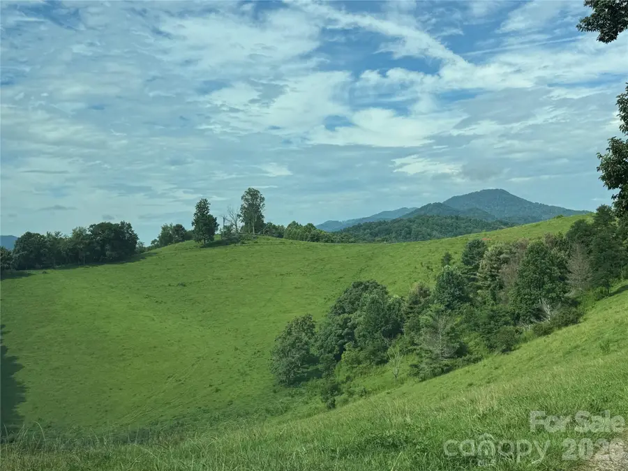 0 Union Hill Church Road, Green Mountain, NC 28740 - #2