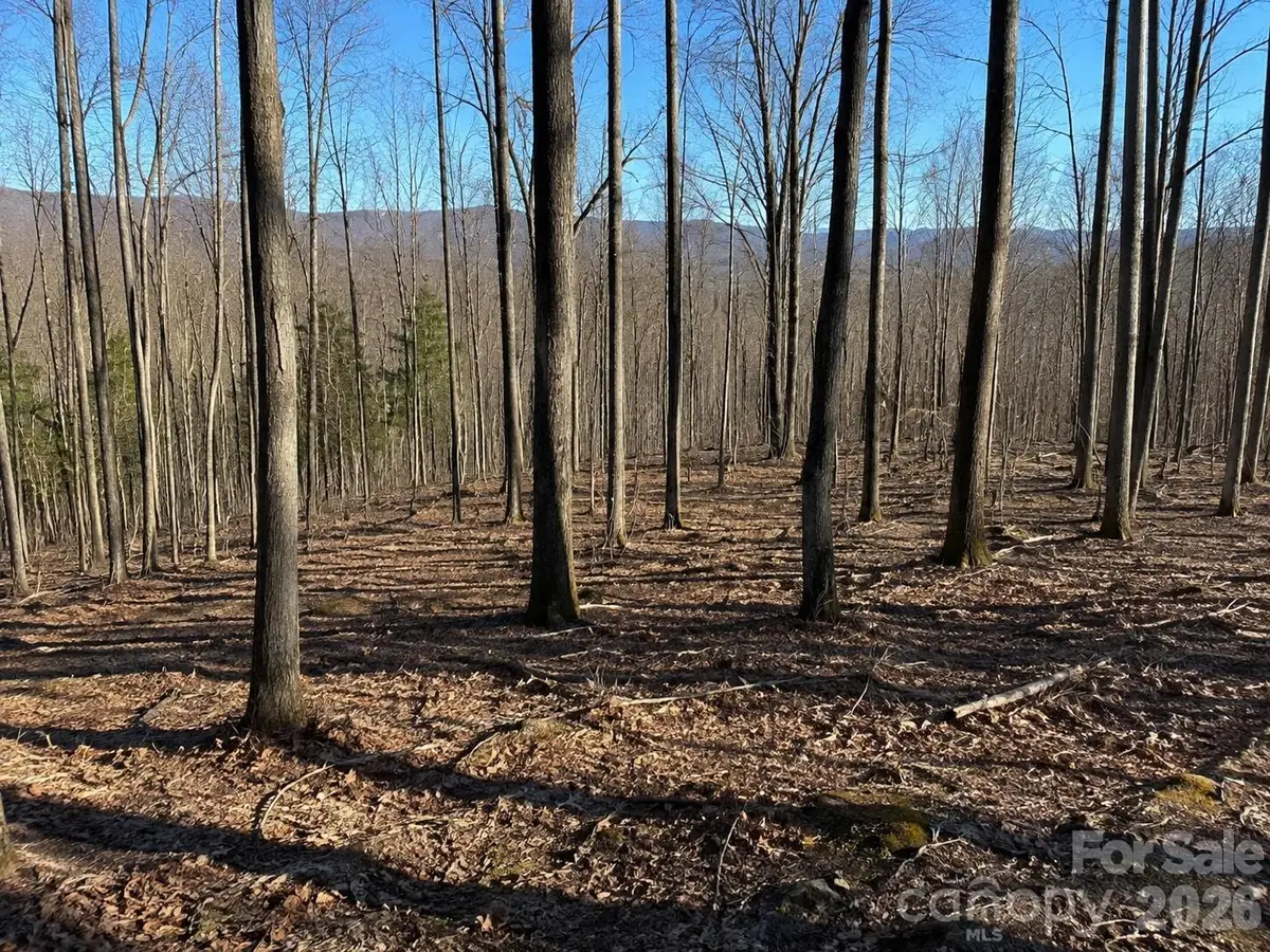 00 Crab Apple Drive, Burnsville, NC 28714 - #1