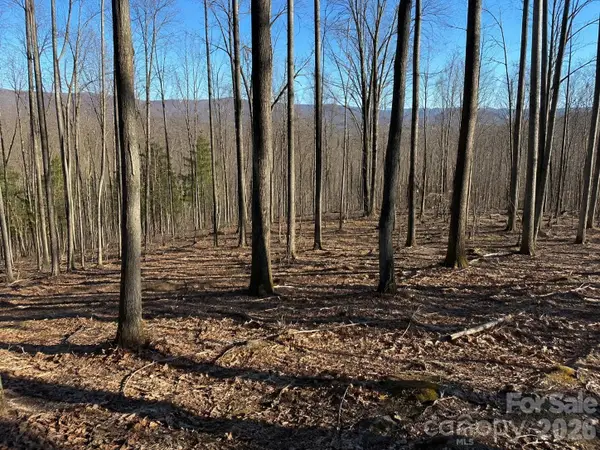 00 Crab Apple Drive, Burnsville, NC 28714