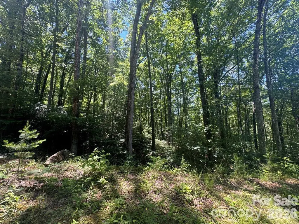 165 N Poplar Drive, Lake Lure, NC 28746 - #1