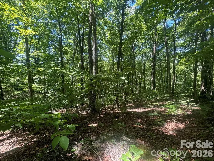 165 N Poplar Drive, Lake Lure, NC 28746 - #2