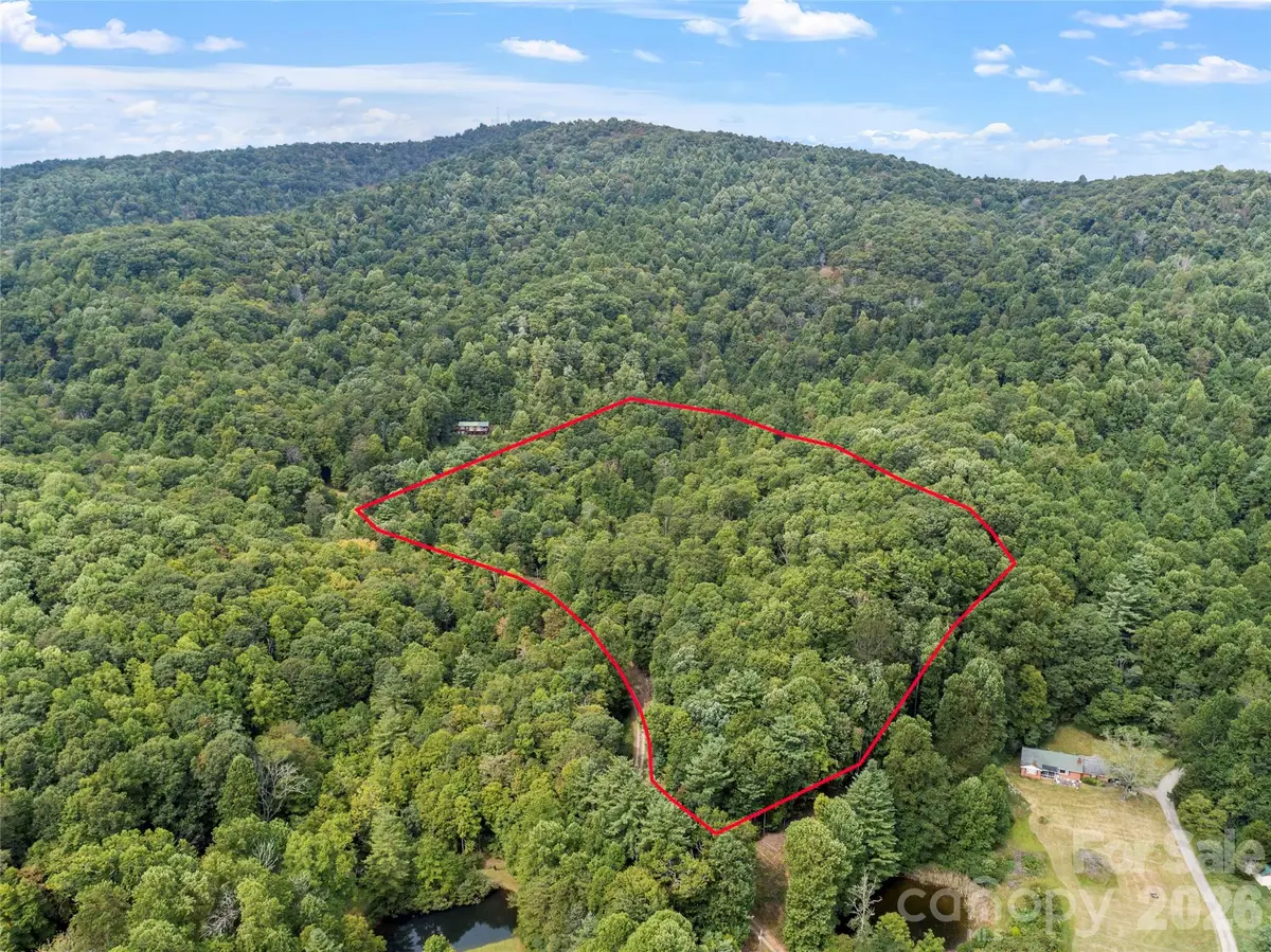 001 Pond Road, Spruce Pine, NC 28777 - #1