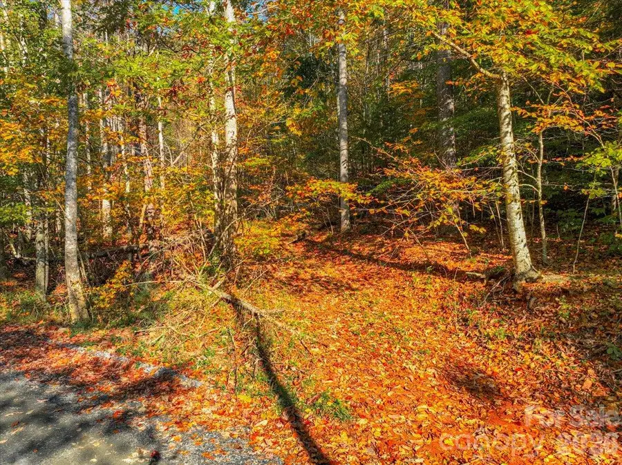 001 Pond Road, Spruce Pine, NC 28777 - #3