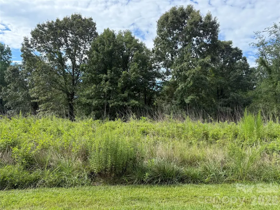 LOT 73 Ole Plantation Drive, Rutherfordton, NC 28139 - #2