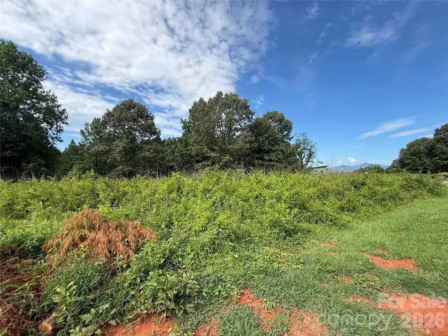 LOT 73 Ole Plantation Drive, Rutherfordton, NC 28139 - #3