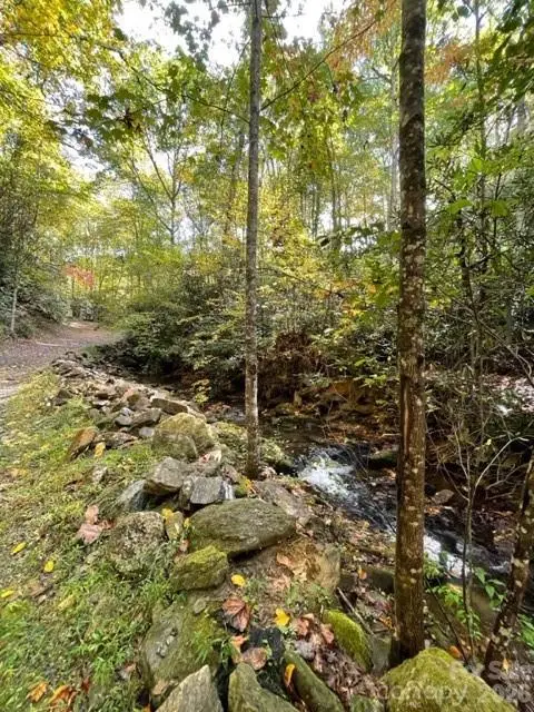 724 Blackgum Court #350, Hendersonville, NC 28739 - #1