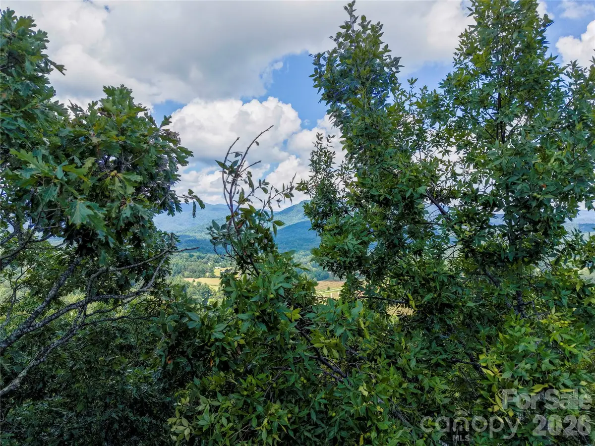 0 High Pines Loop #139, Lake Lure, NC 28746 - #1