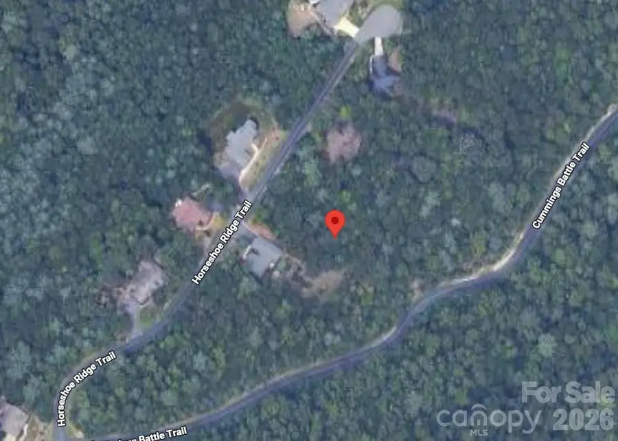 Lot 117 Horse Shoe Ridge Trail #117, Hendersonville, NC 28792 - #2