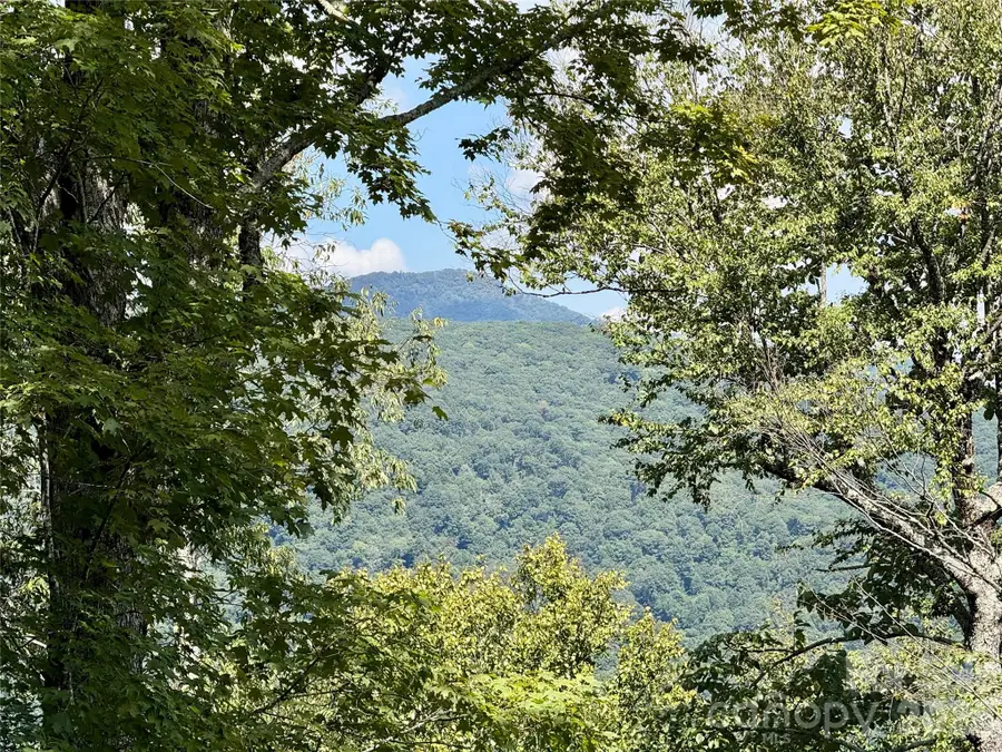 92 Goldenleaf Road, Mars Hill, NC 28754 - #2
