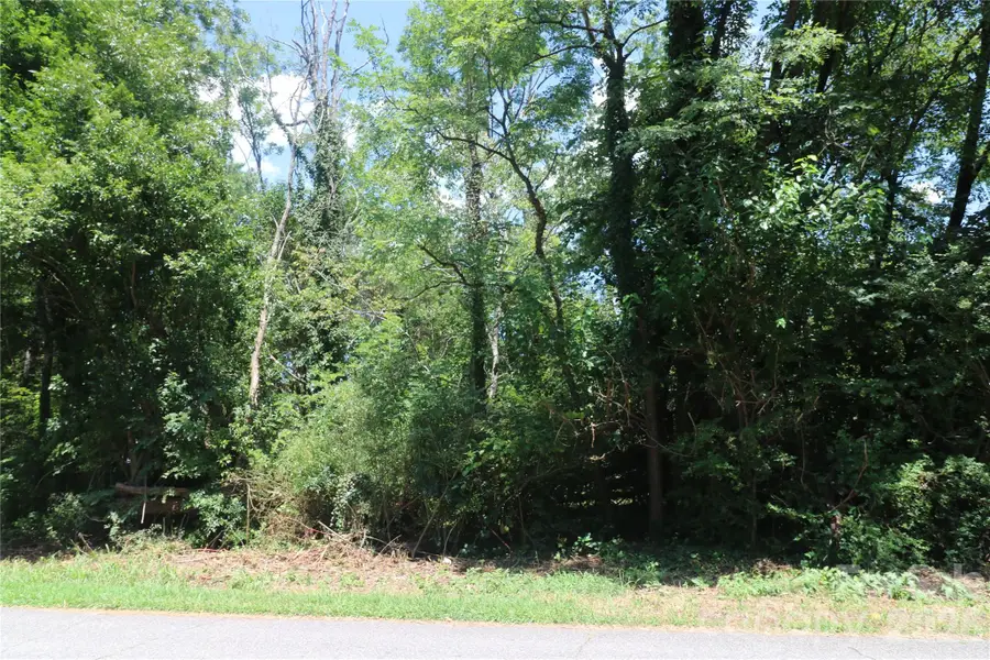 0 Springfield Drive, Forest City, NC 28043 - #3