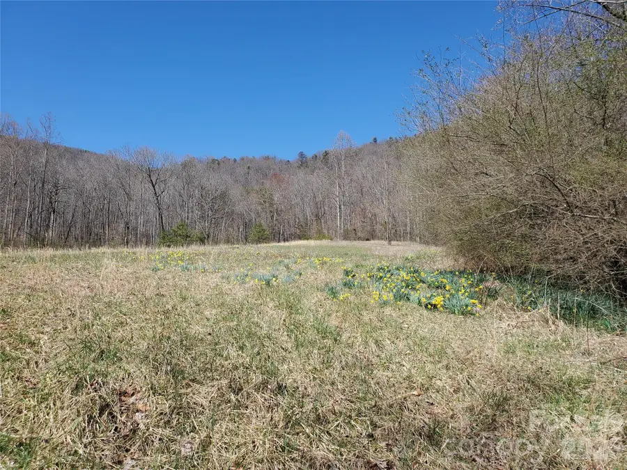 8057 Highway 16 Highway, Moravian Falls, NC 28654 - #2