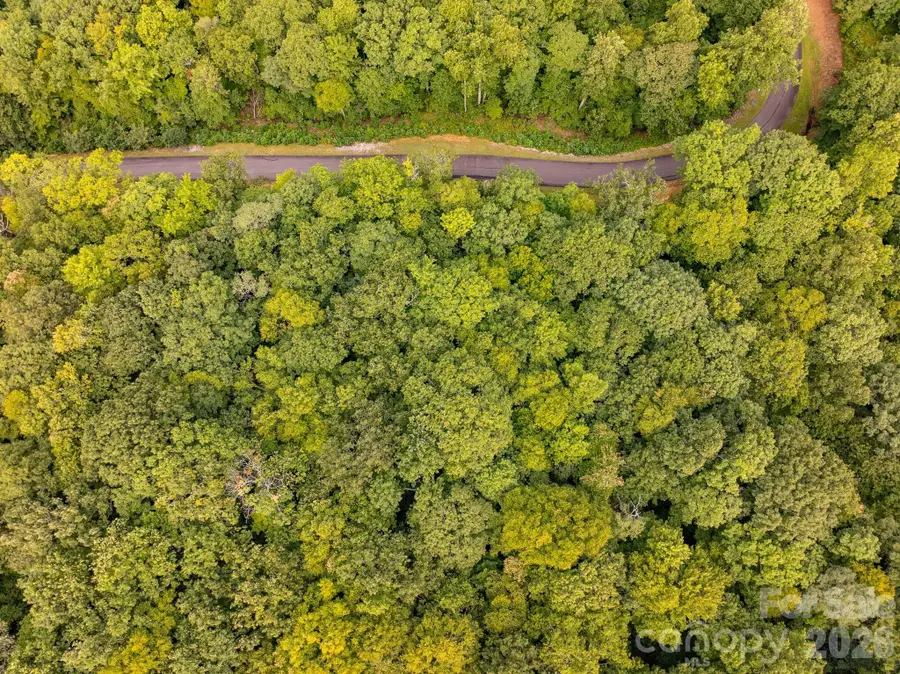 0 Rainbow Trout Drive #84, Spruce Pine, NC 28777 - #3