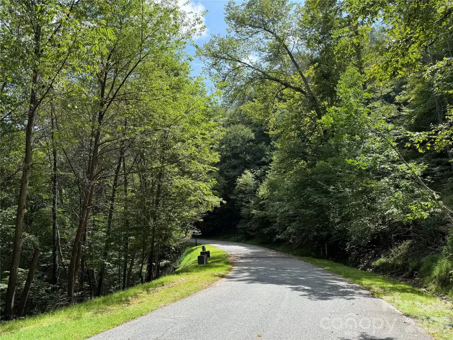 98 Goldenleaf Road, Mars Hill, NC 28754 - #2