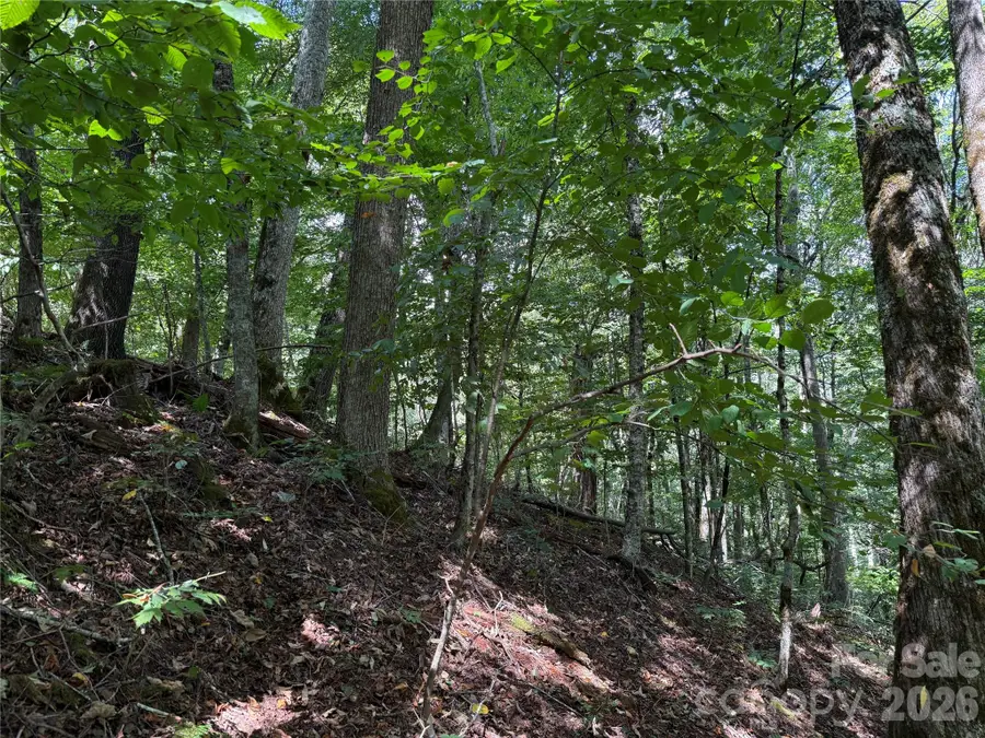 98 Goldenleaf Road, Mars Hill, NC 28754 - #3