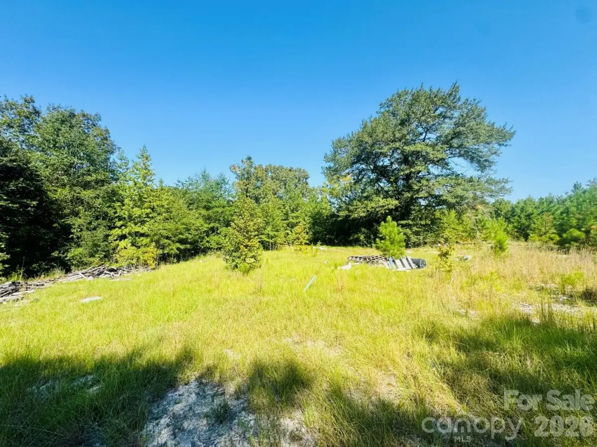 499 Mac Jowers Lane, Jefferson, SC 29718 - #1