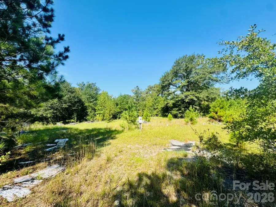 499 Mac Jowers Lane, Jefferson, SC 29718 - #3