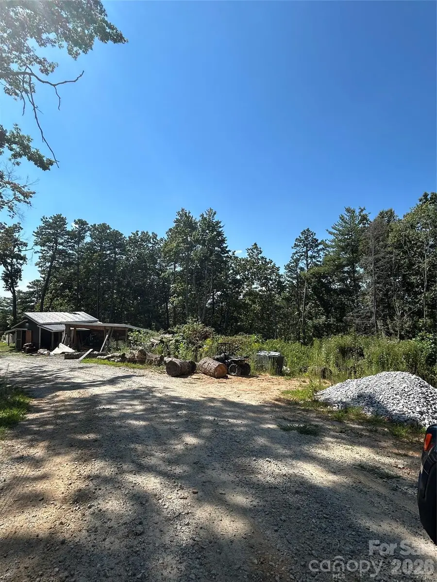 00 Jacks Paw Lane, Hendersonville, NC 28792 - #2