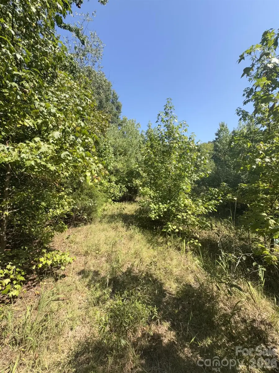 0 Flat Swamp Road, Denton, NC 27239 - #3