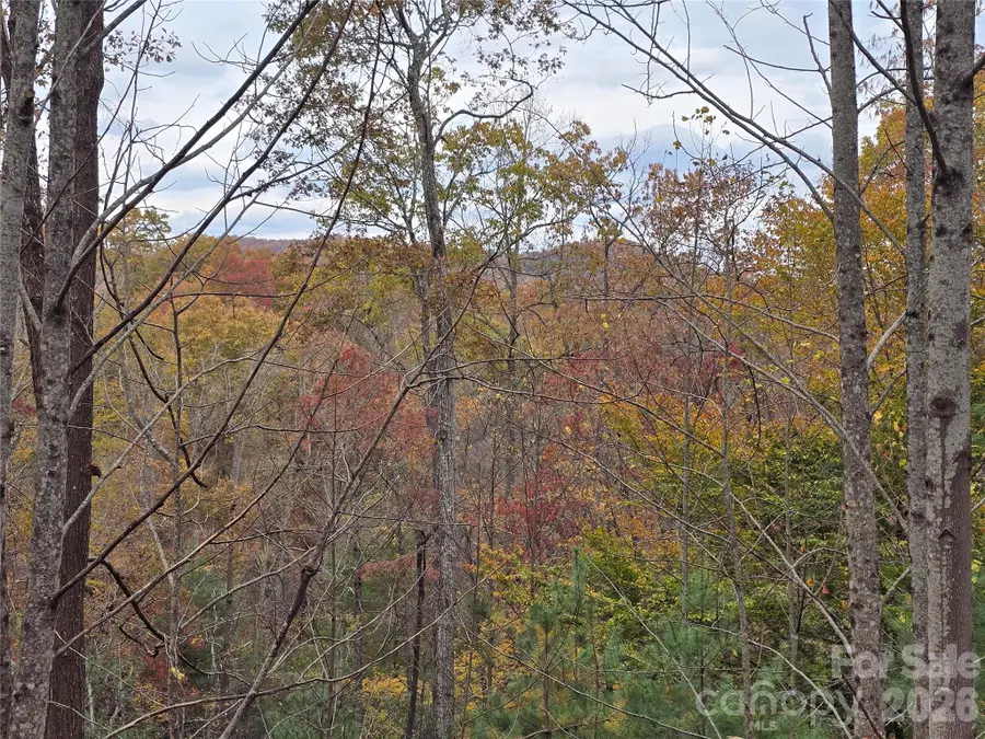 0 Shining Rock Path #17R, Mills River, NC 28742 - #3