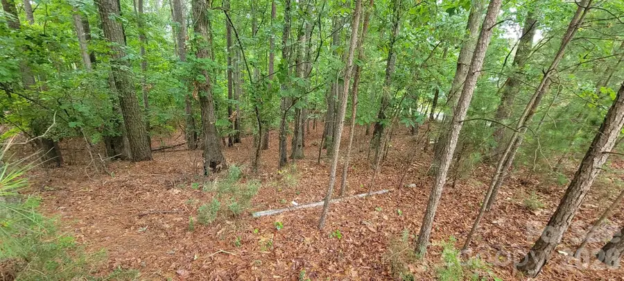 4000 Beechwood Spring Lane, Belmont, NC 28012 - #2
