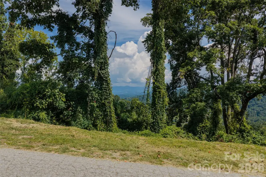 44 Longstreet Court #5, Weaverville, NC 28787 - #2