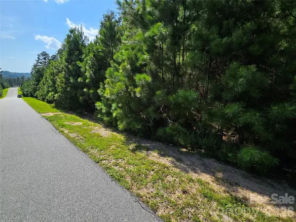 TBD Coveside Drive #149, Granite Falls, NC 28630